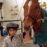 2016 Summer Horse Camps